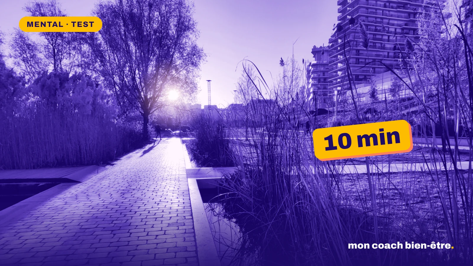 10 minutes de lumiĂšre le matin : est-ce que ça aide contre la fatigue d’hiver ?